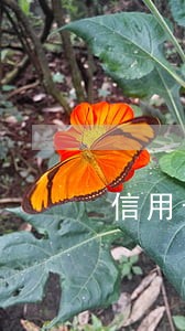 信用卡逾期几个月说要来抓人 信用卡逾期几个月说要来抓人