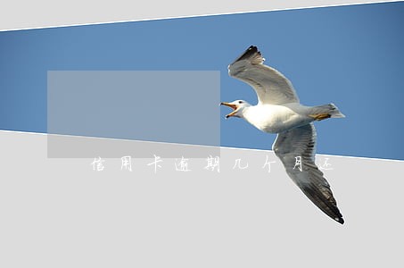 信用卡逾期几个月还 信用卡逾期几个月还