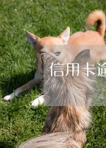 信用卡逾期几个月还一半 信用卡逾期几个月还一半