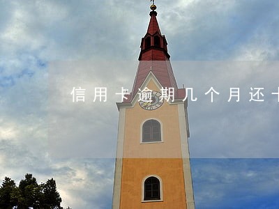 信用卡逾期几个月还十几万怎么办