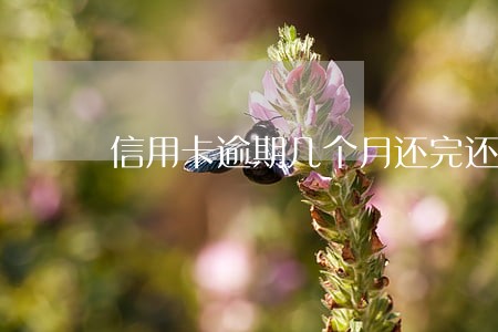 信用卡逾期几个月还完还能用吗