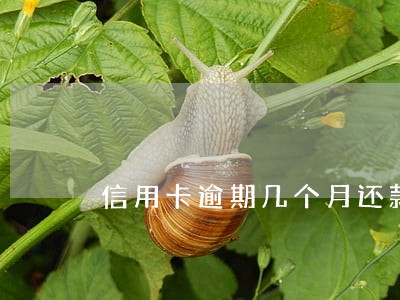 信用卡逾期几个月还款后还能用