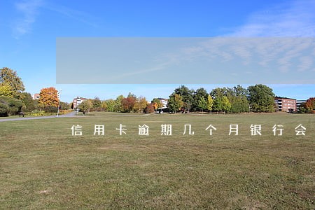 信用卡逾期几个月银行会报案吗 信用卡逾期几个月银行会报案吗