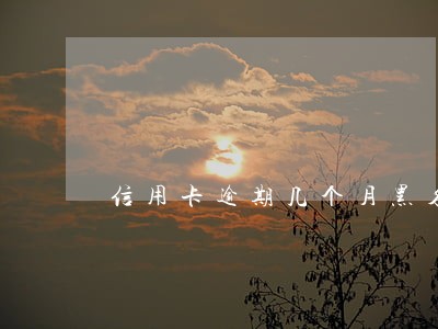 信用卡逾期几个月黑名单 信用卡逾期几个月黑名单