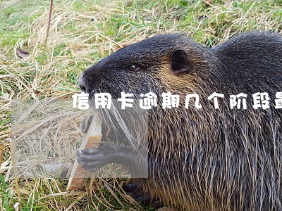 信用卡逾期几个阶段最佳