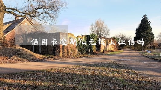 信用卡逾期几元钱上征信吗 信用卡逾期几元钱上征信吗