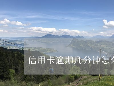 信用卡逾期几分钟怎么办 信用卡逾期几分钟怎么办
