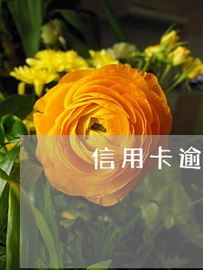 信用卡逾期几分钟没事吧 信用卡逾期几分钟没事吧