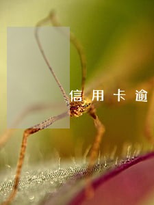 信用卡逾期几十万会坐牢吗 信用卡逾期几十万会坐牢吗