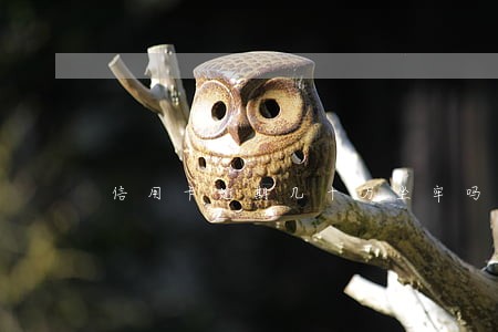 信用卡逾期几十万坐牢吗 信用卡逾期几十万坐牢吗