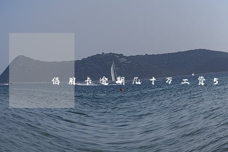 信用卡逾期几十万工资5千