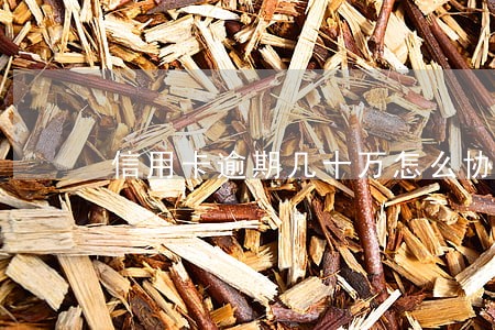 信用卡逾期几十万怎么协商