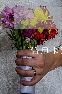 信用卡逾期几十万能坐火车吗 信用卡逾期几十万能坐火车吗