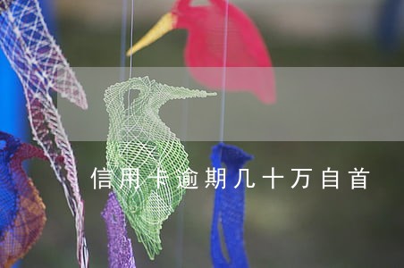 信用卡逾期几十万自首 信用卡逾期几十万自首