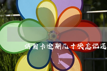 信用卡逾期几十块忘记还了 信用卡逾期几十块忘记还了