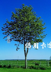 信用卡逾期几十块钱2个月严重么 信用卡逾期几十块钱2个月严重么