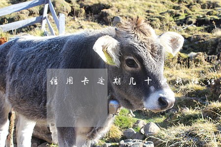 信用卡逾期几十快钱征信 信用卡逾期几十快钱征信