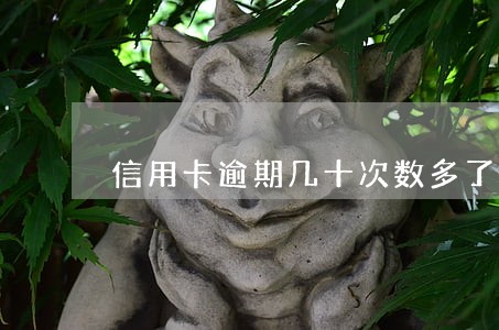信用卡逾期几十次数多了 信用卡逾期几十次数多了