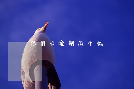 信用卡逾期几千亿