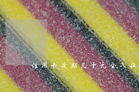 信用卡逾期几千元会入征信吗
