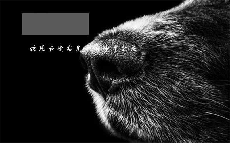 信用卡逾期几千有坐牢的没 信用卡逾期几千有坐牢的没