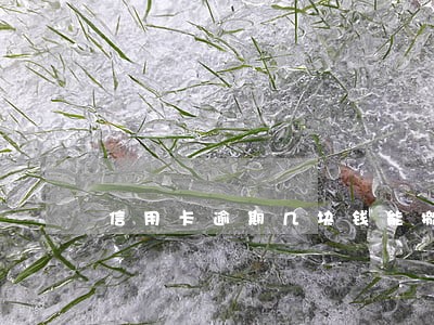 信用卡逾期几块钱能撤销吗 信用卡逾期几块钱能撤销吗
