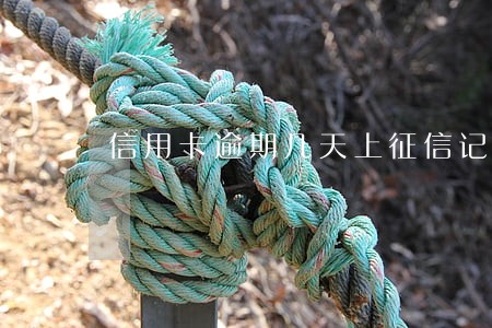 信用卡逾期几天上征信记录