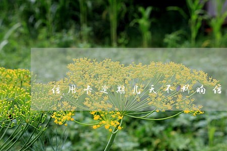信用卡逾期几天不影响信用 信用卡逾期几天不影响信用