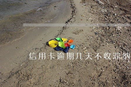 信用卡逾期几天不收滞纳金