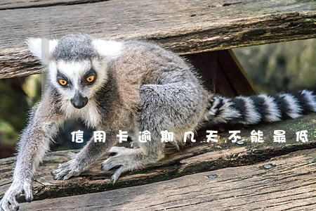 信用卡逾期几天不能最低还款