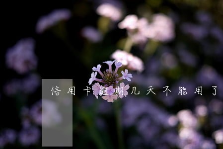 信用卡逾期几天不能用了
