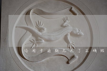 信用卡逾期几天了正确做法 信用卡逾期几天了正确做法