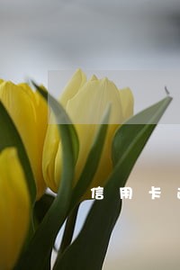 信用卡逾期几天了还能代还吗 信用卡逾期几天了还能代还吗