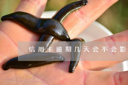 信用卡逾期几天会不会影响征信 信用卡逾期几天会不会影响征信
