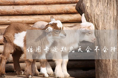 信用卡逾期几天会不会降额 信用卡逾期几天会不会降额