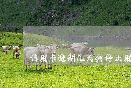 信用卡逾期几天会停止用卡 信用卡逾期几天会停止用卡