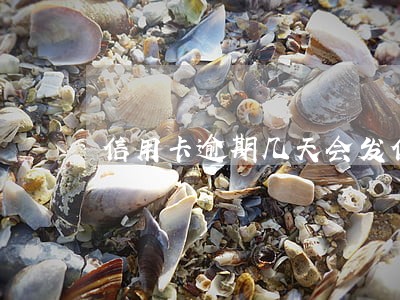 信用卡逾期几天会发信息 信用卡逾期几天会发信息