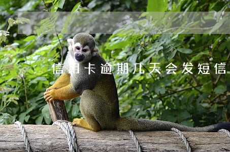 信用卡逾期几天会发短信 信用卡逾期几天会发短信