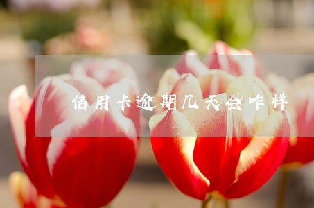 信用卡逾期几天会咋样 信用卡逾期几天会咋样