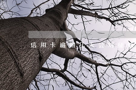 信用卡逾期几天会对征信影响 信用卡逾期几天会对征信影响