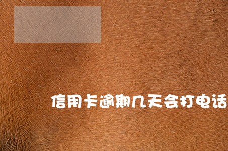 信用卡逾期几天会打电话给本人 信用卡逾期几天会打电话给本人