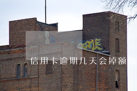 信用卡逾期几天会掉额度 信用卡逾期几天会掉额度
