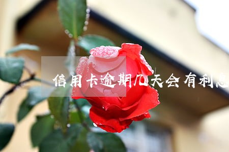 信用卡逾期几天会有利息吗 信用卡逾期几天会有利息吗