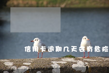 信用卡逾期几天会有危险 信用卡逾期几天会有危险