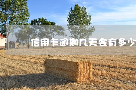 信用卡逾期几天会有多少利息