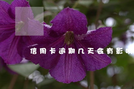 信用卡逾期几天会有影响呀 信用卡逾期几天会有影响呀