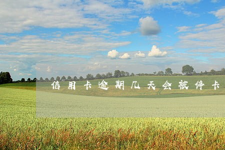 信用卡逾期几天会被停卡 信用卡逾期几天会被停卡