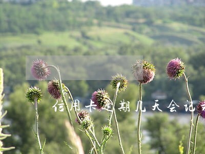 信用卡逾期几天会记录吗 信用卡逾期几天会记录吗