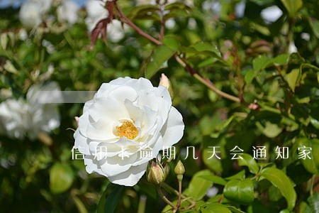 信用卡逾期几天会通知家人 信用卡逾期几天会通知家人
