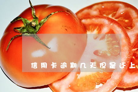 信用卡逾期几天但是还上了 信用卡逾期几天但是还上了